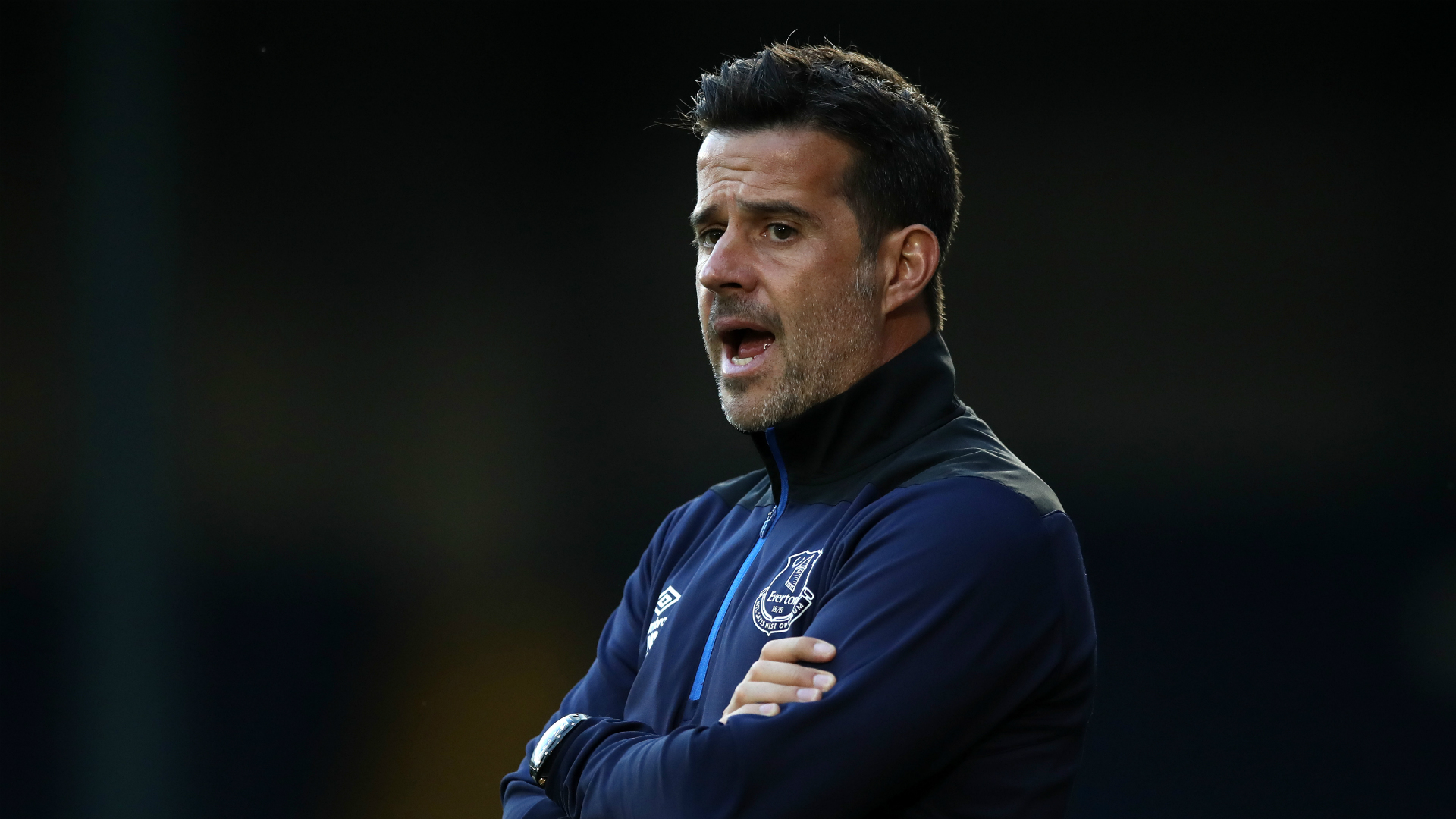 席尔瓦和菲 席尔瓦和菲